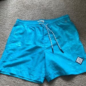 American Eagle 5inch Swim Trunks